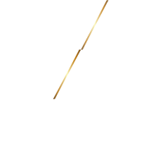 Divine Design